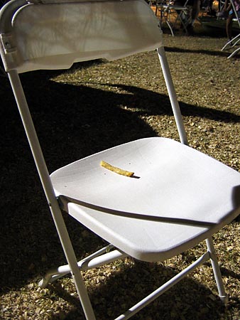 french fry sitting in chair
