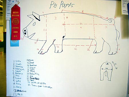 Pig parts drawing by 4-H member