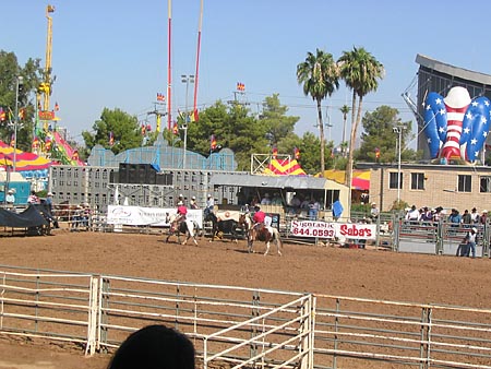 rodeo