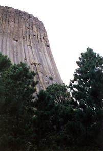 The people on the Tower are the small dot to the upper-left of the big dot just above the tree.